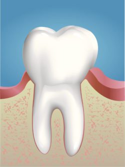 Why are healthy gums important