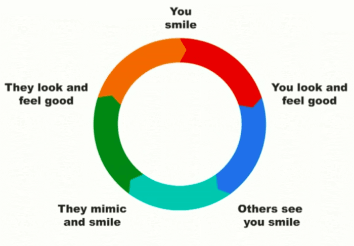 The Cycle of Smiling; dentist in Hunt Valley MD